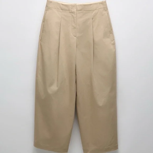 Zara Pleated Pants - Picture 5 of 5
